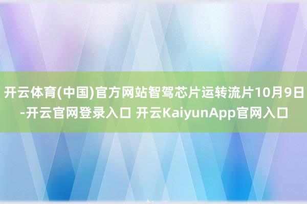 开云体育(中国)官方网站智驾芯片运转流片10月9日-开云官网登录入口 开云KaiyunApp官网入口